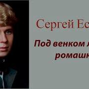 Под Венком Лесной Ромашки