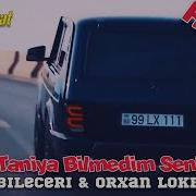 Oldurub Serab Meni