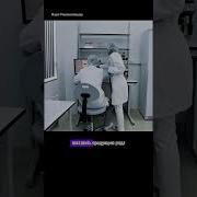 Меме Про Креветки