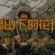 对越自卫反击战有声书
