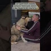 Google Секс Женщины С Собакой