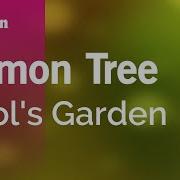 Fools Garden Lemon Tree Karaoke