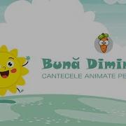Bună Dimineața Soare Bună Dimineața Ram