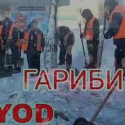 Sayod Гариби