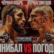 Топ Дог Мерч