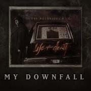 Biggie Smalls My Downfall