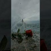 Безам Ц1Е Шеха Йуьлуш