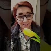 Я Все Жду Что Первым Скажешь Ты