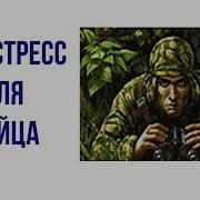 Психологическая Подготовка Бойца