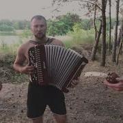 Ты Мне Подари Судьба На Баяне Супер Исполнение