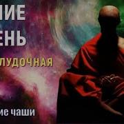 417 Гц Исцеление Печени Зрения