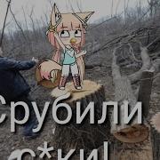 У Лукоморья Дуб Срубили Гача Лайф