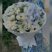 Хьа Ц1Арах Са Дог Даьгнера