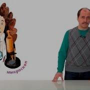 Чем Живое Отличается От Неживого