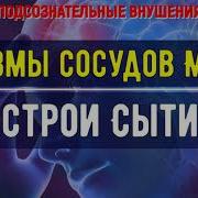Настрой Сытина Для Головного Мозга