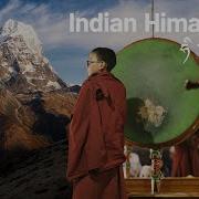 Vibes From The Himalayas