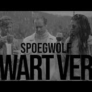 Spoegwolf Swart Vere