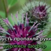 А Дорога Серою Лентою Вьётся Минусовка