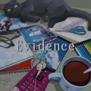 Evidence 40Mp