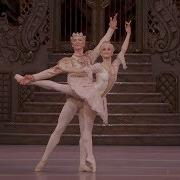 The Nutcracker Prince Tchaikovsky Pas De Deux