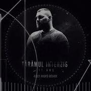 Taramul Interzis Alex Mako Remix The Urs