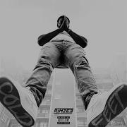 Rimzee Irreplaceable Instrumental