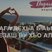 Д1А Эца Сан Дог