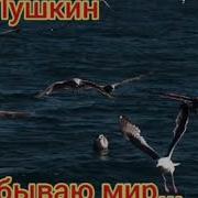 И Забываю Мир И В Сладкой Тишине