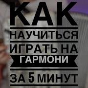 Игра На Гармошке Аккордами