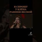 Я Спрошу У Клена Раннею Весной