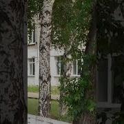 Годики Как Семечки Шелухой Летят