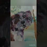 Зачем Мне Солнце В Монако Когда У Меня Есть Собака