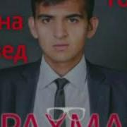 Farahmand Karimov Шахпараки Сафеди Ман