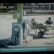 Бешеный Осел На Заправке