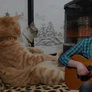 Котозависимость Семён Слепаков Мам Я Котоман Крампапулька