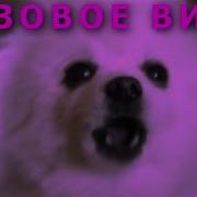 Элджей Feduk Розовое Вино Ft Пёс Гейб