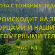 Что Происходит На Земле С Творцами И Нашими Многомерными Телами