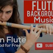 Flute Background Music No Copyright Free To Use