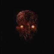 Caspian Insomnia