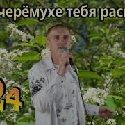 А Я В Черёмухе Тебя Расцелую Сергей Орлов