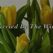 Carried By The Wind A Different Drum Mix Michael E