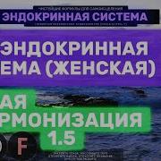 Саблиминал Эндокринная Система
