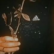 Тату На Теле Ночи В Отеле Slowed