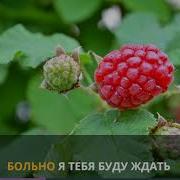 Я В Тебе Нашёл Абсолютно Всё Караоке