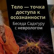 За Пределами Тел