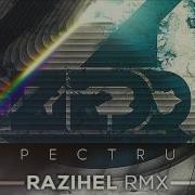 Zedd Spectrum Hq