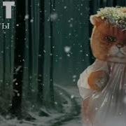 Маска Кот Танцы