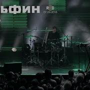 Дельфин Акустика Live 2015