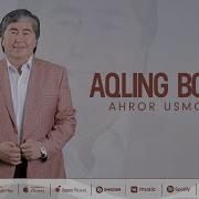 Ахрор Усмонов Аклинг Болса Mp3 Axror Usmonov Aqling Bolsa