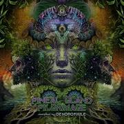 Ferald Ed Is It Real Original Mix